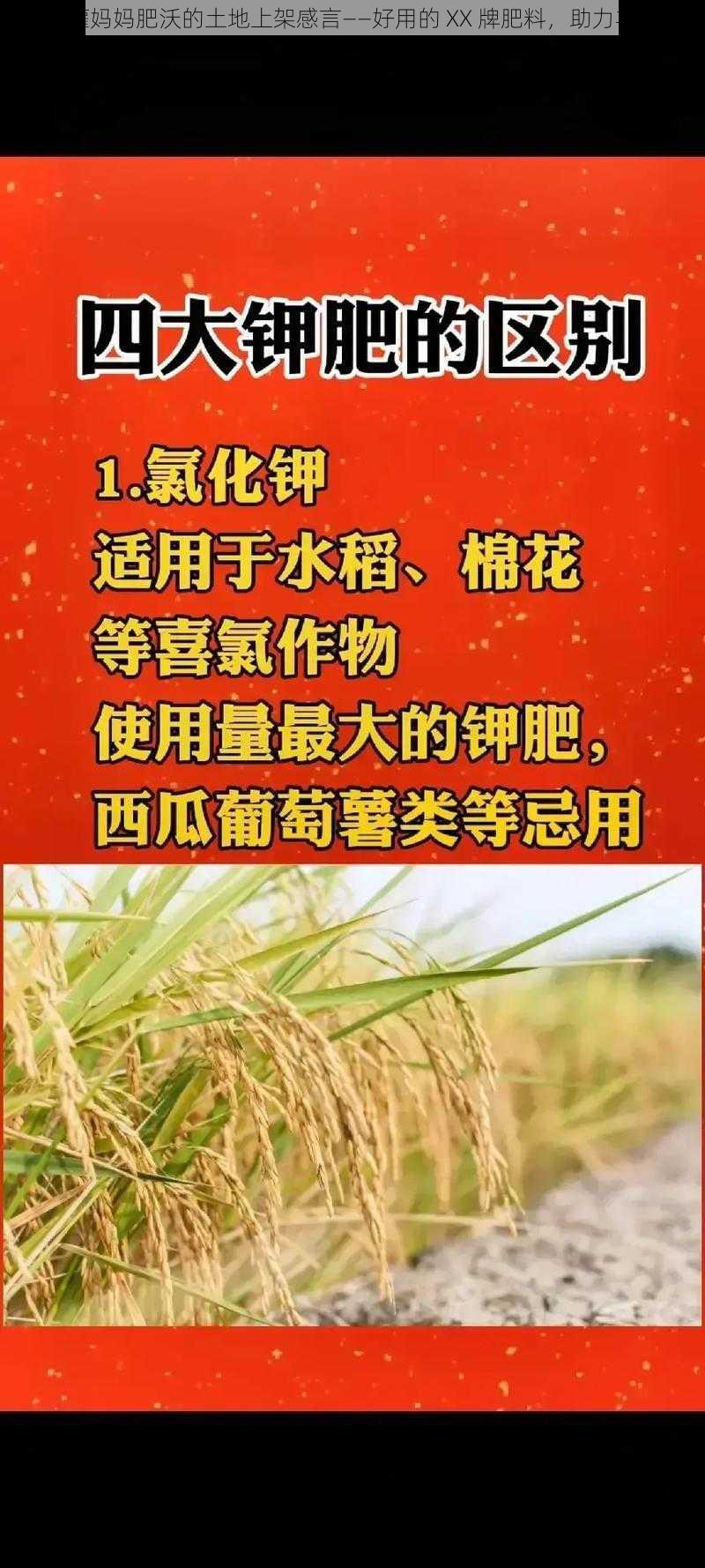 浇灌妈妈肥沃的土地上架感言——好用的 XX 牌肥料，助力丰收