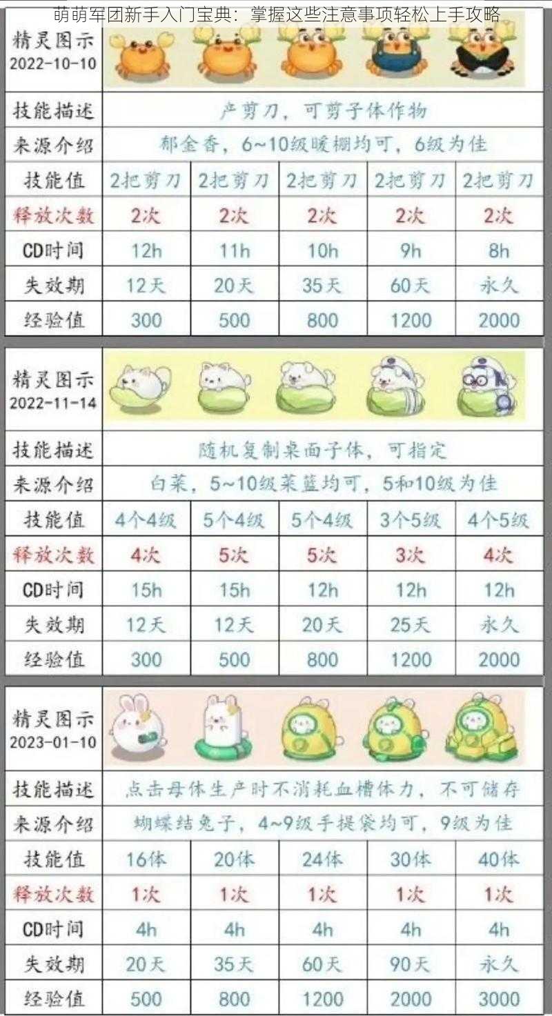 萌萌军团新手入门宝典：掌握这些注意事项轻松上手攻略