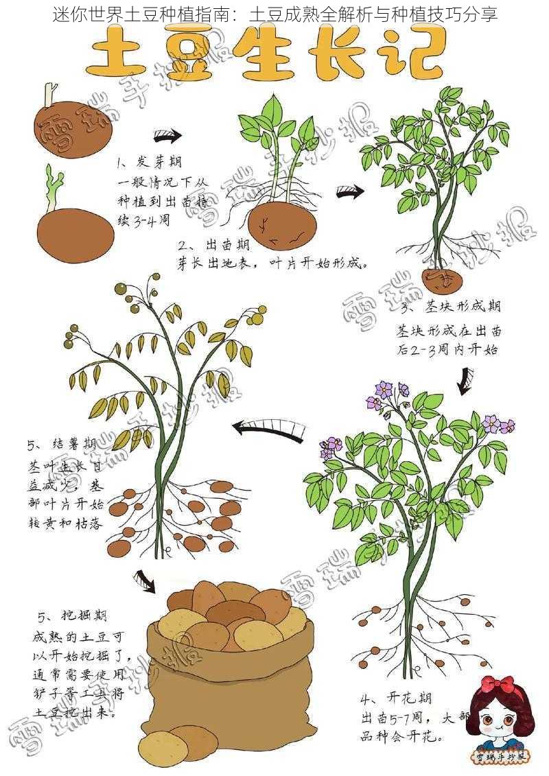 迷你世界土豆种植指南：土豆成熟全解析与种植技巧分享