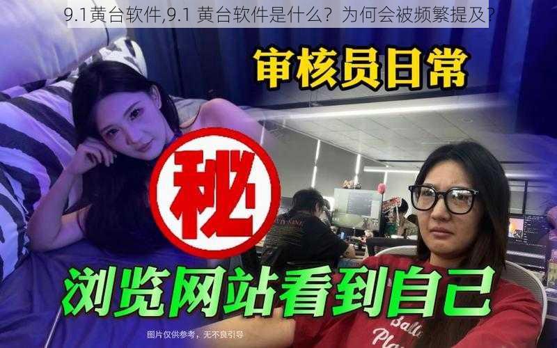 9.1黄台软件,9.1 黄台软件是什么？为何会被频繁提及？