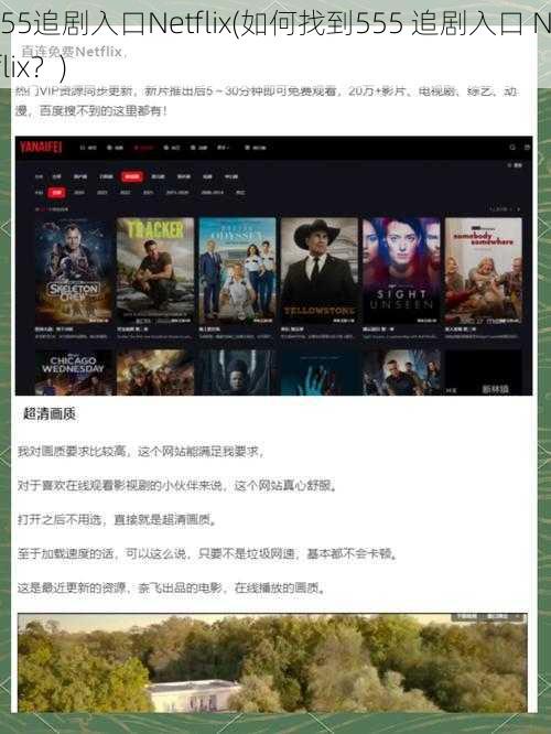 555追剧入口Netflix(如何找到555 追剧入口 Netflix？)