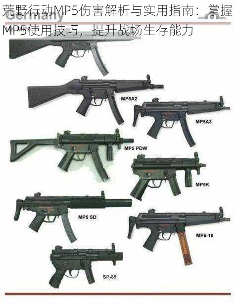 荒野行动MP5伤害解析与实用指南：掌握MP5使用技巧，提升战场生存能力