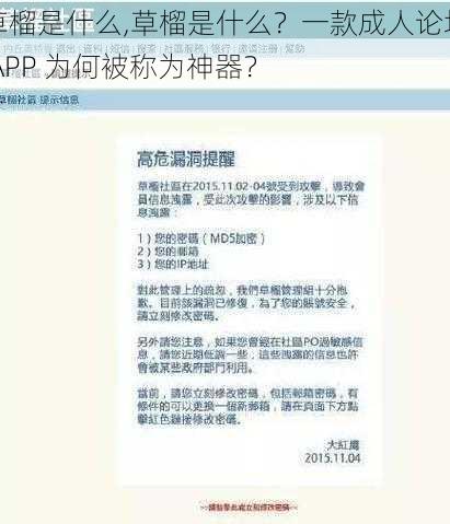 草榴是什么,草榴是什么？一款成人论坛 APP 为何被称为神器？