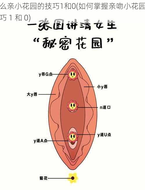 怎么亲小花园的技巧1和0(如何掌握亲吻小花园的技巧 1 和 0)