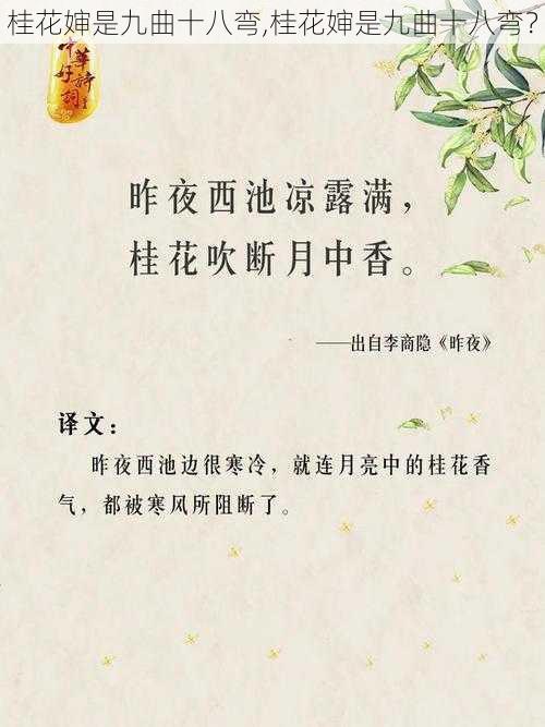 桂花婶是九曲十八弯,桂花婶是九曲十八弯？