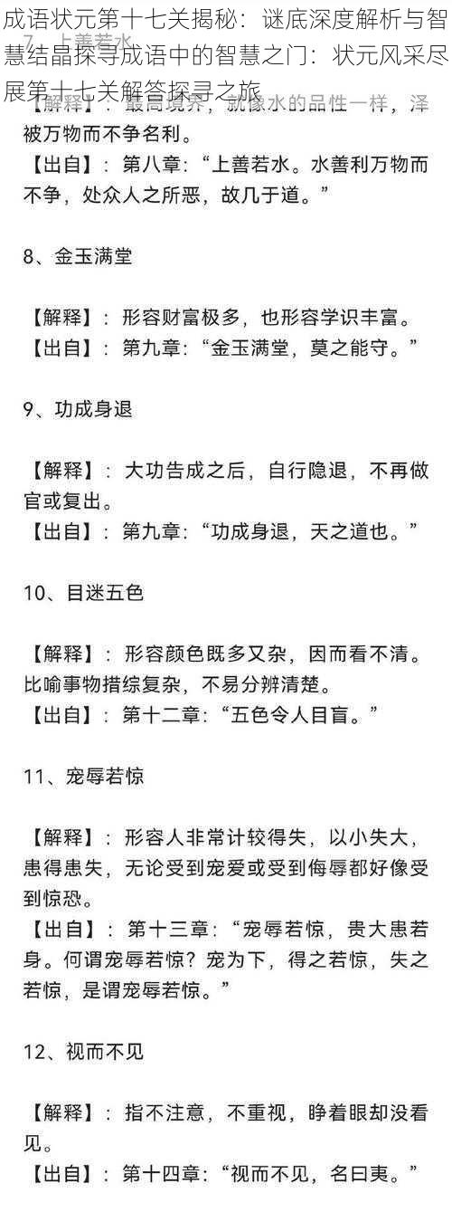 成语状元第十七关揭秘：谜底深度解析与智慧结晶探寻成语中的智慧之门：状元风采尽展第十七关解答探寻之旅