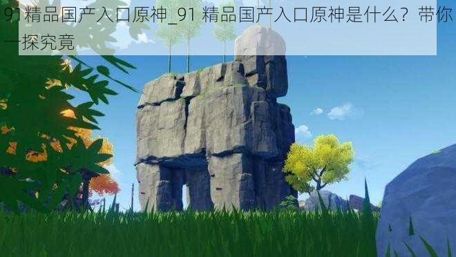 91精品国产入口原神_91 精品国产入口原神是什么？带你一探究竟