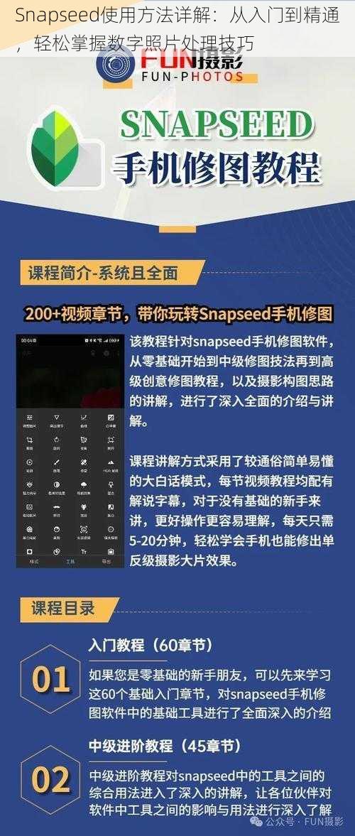 Snapseed使用方法详解：从入门到精通，轻松掌握数字照片处理技巧