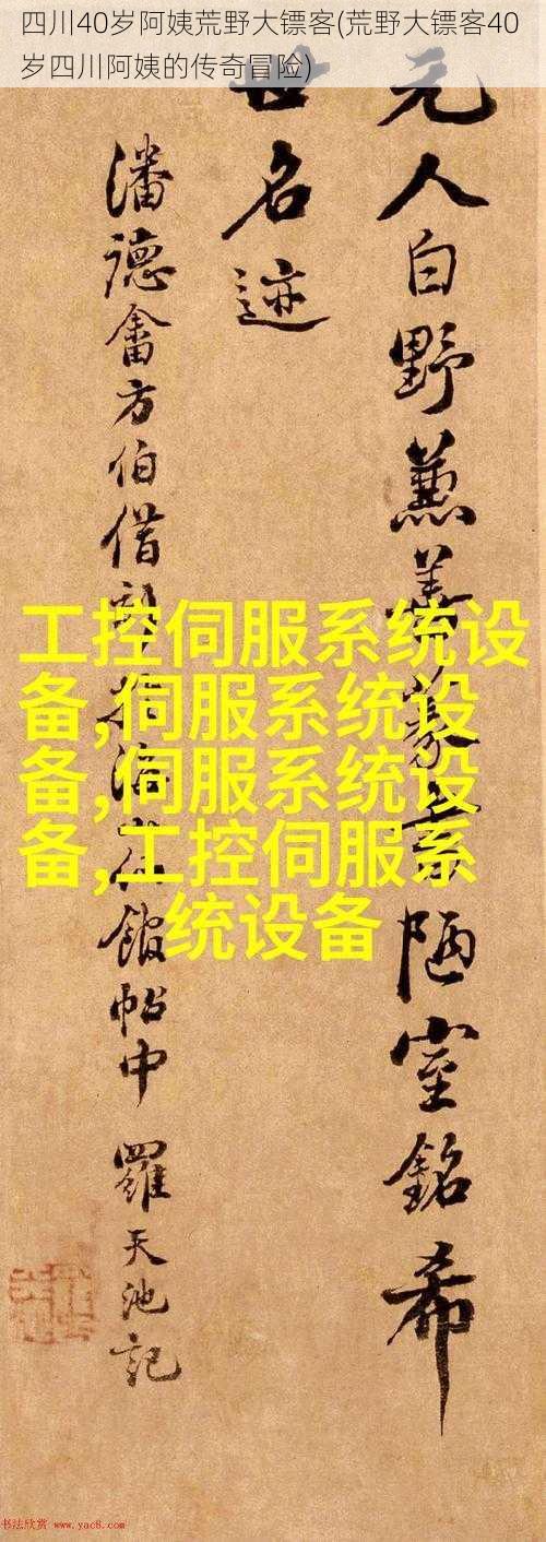 四川40岁阿姨荒野大镖客(荒野大镖客40 岁四川阿姨的传奇冒险)