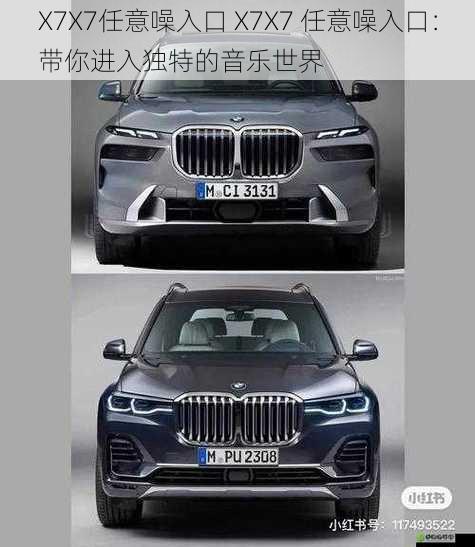 X7X7任意噪入口 X7X7 任意噪入口：带你进入独特的音乐世界