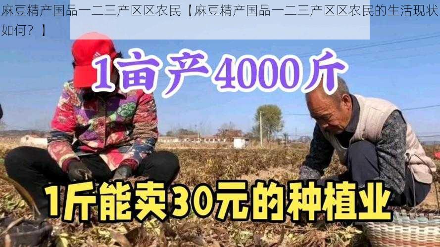 麻豆精产国品一二三产区区农民【麻豆精产国品一二三产区区农民的生活现状如何？】