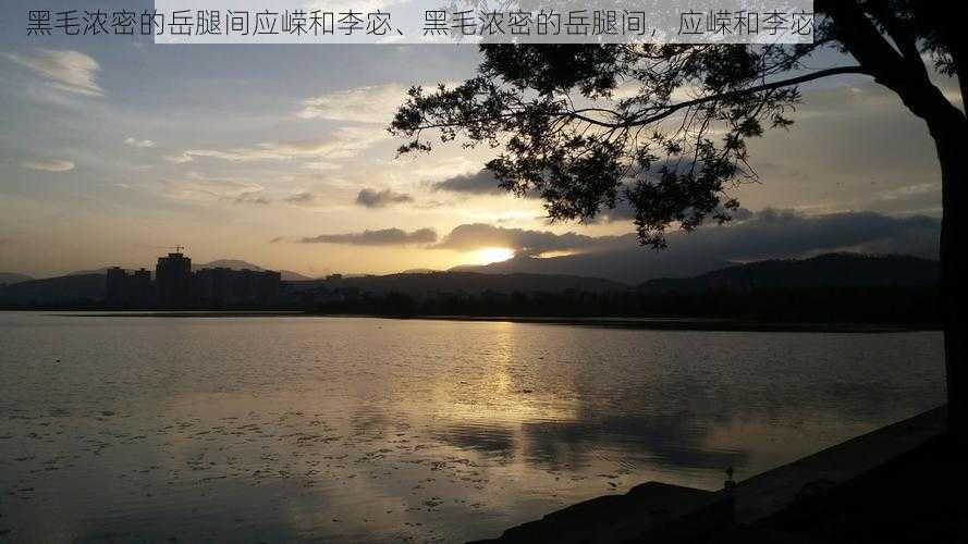 黑毛浓密的岳腿间应嵘和李宓、黑毛浓密的岳腿间，应嵘和李宓在干什么？