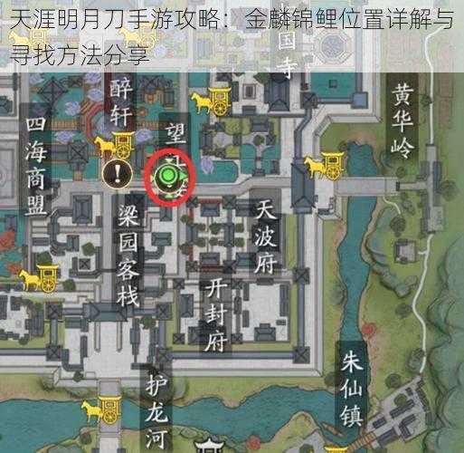 天涯明月刀手游攻略：金麟锦鲤位置详解与寻找方法分享