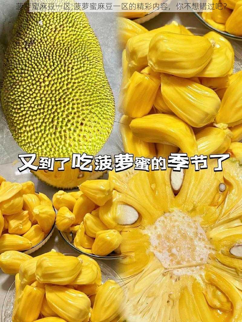 菠萝蜜麻豆一区;菠萝蜜麻豆一区的精彩内容，你不想错过吧？