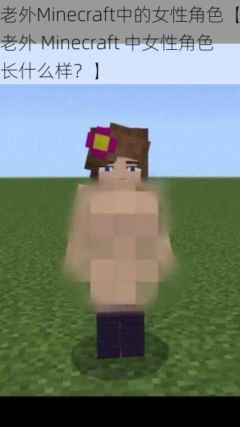 老外Minecraft中的女性角色【老外 Minecraft 中女性角色长什么样？】