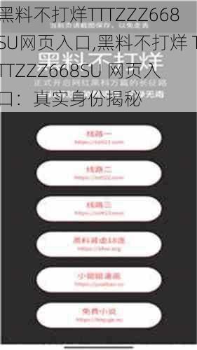 黑料不打烊TTTZZZ668SU网页入口,黑料不打烊 TTTZZZ668SU 网页入口：真实身份揭秘