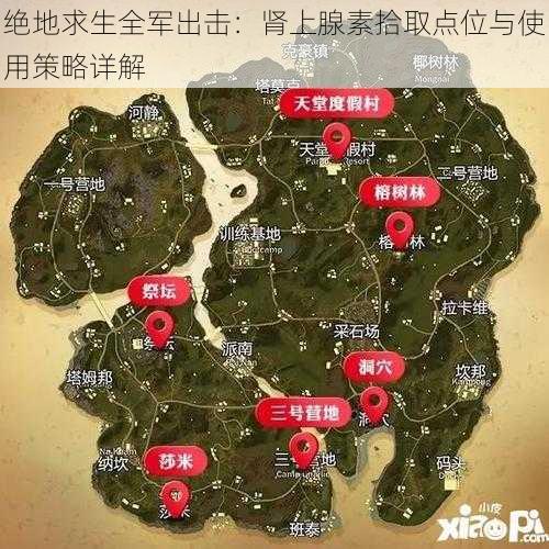 绝地求生全军出击：肾上腺素拾取点位与使用策略详解