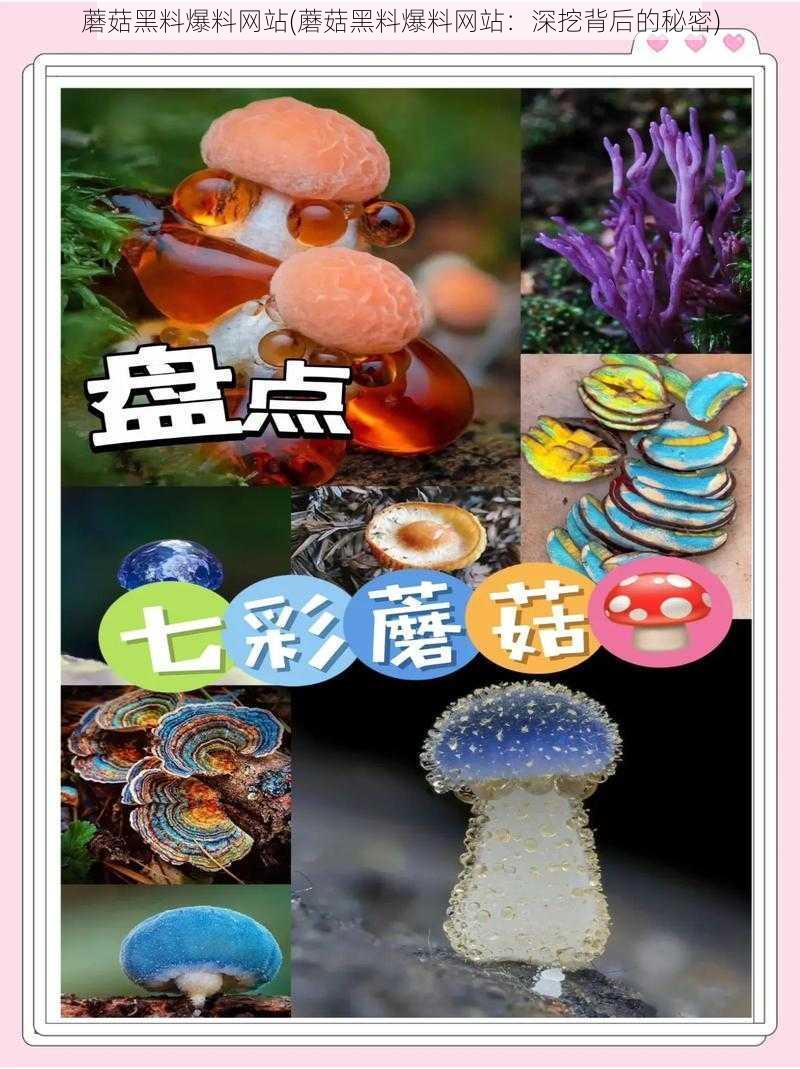 蘑菇黑料爆料网站(蘑菇黑料爆料网站：深挖背后的秘密)