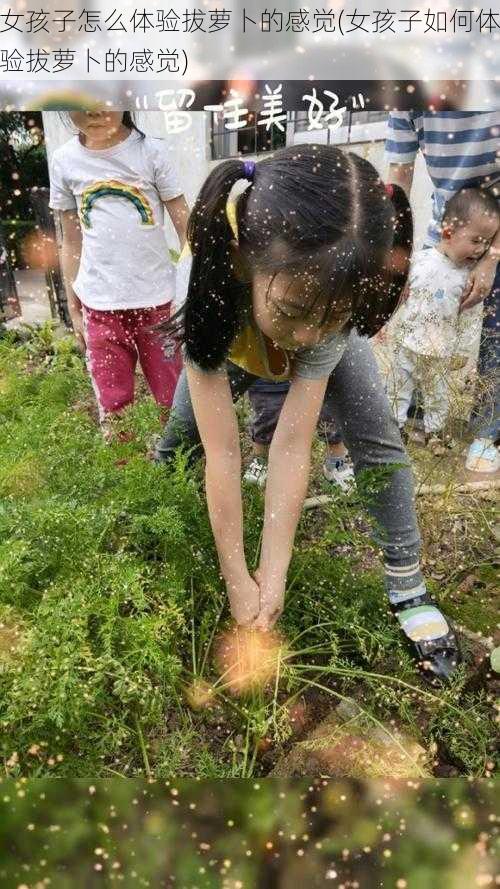 女孩子怎么体验拔萝卜的感觉(女孩子如何体验拔萝卜的感觉)