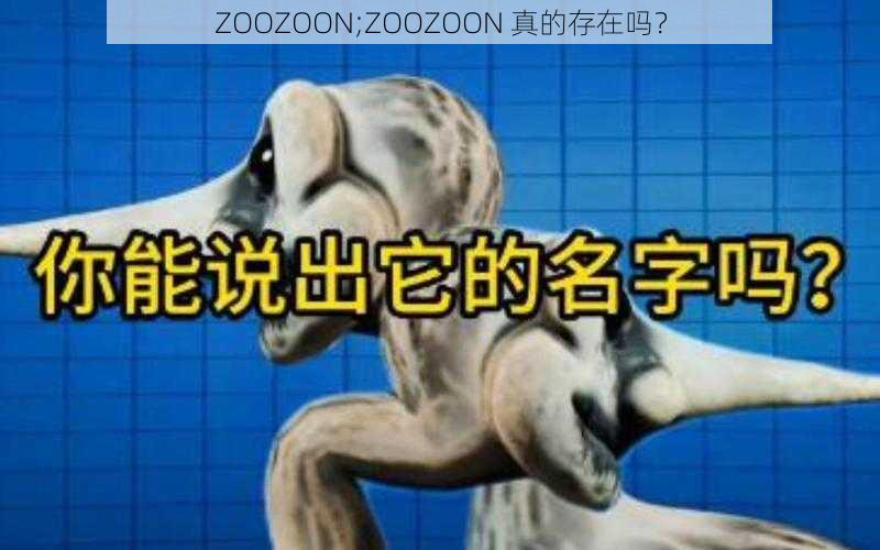 ZOOZOON;ZOOZOON 真的存在吗？