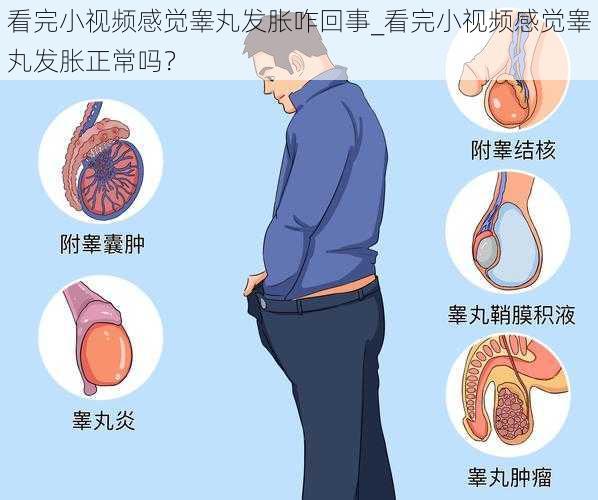 看完小视频感觉睾丸发胀咋回事_看完小视频感觉睾丸发胀正常吗？