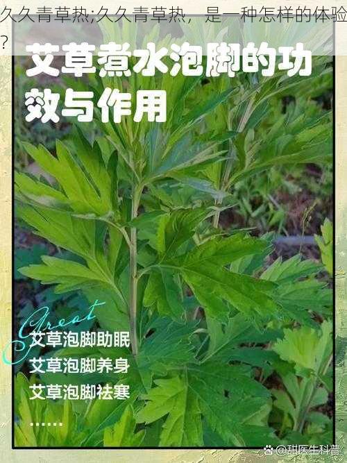 久久青草热;久久青草热，是一种怎样的体验？