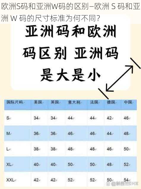 欧洲S码和亚洲W码的区别—欧洲 S 码和亚洲 W 码的尺寸标准为何不同？