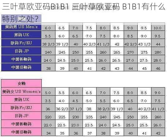 三叶草欧亚码B1B1 三叶草欧亚码 B1B1有什么特别之处？