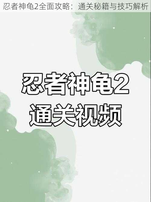 忍者神龟2全面攻略：通关秘籍与技巧解析