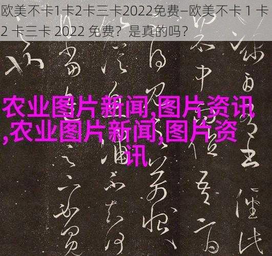 欧美不卡1卡2卡三卡2022免费—欧美不卡 1 卡 2 卡三卡 2022 免费？是真的吗？