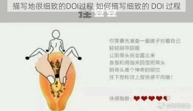 描写地很细致的DOI过程 如何描写细致的 DOI 过程