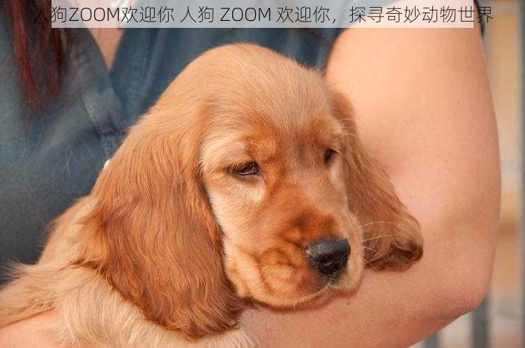 人狗ZOOM欢迎你 人狗 ZOOM 欢迎你，探寻奇妙动物世界