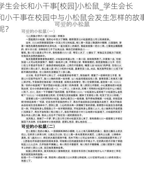 学生会长和小干事[校园]小松鼠_学生会长和小干事在校园中与小松鼠会发生怎样的故事呢？