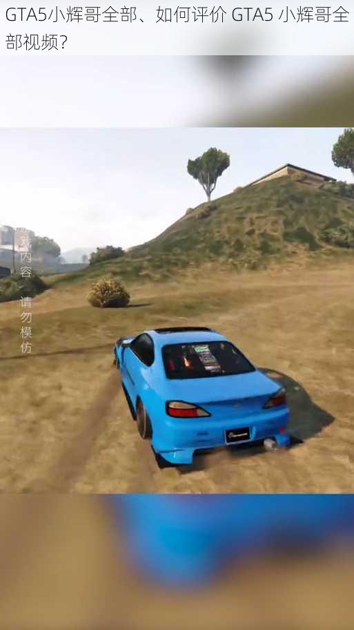 GTA5小辉哥全部、如何评价 GTA5 小辉哥全部视频？