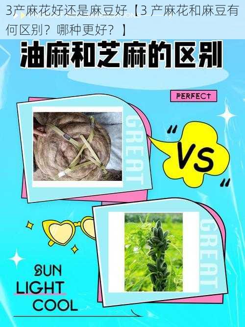 3产麻花好还是麻豆好【3 产麻花和麻豆有何区别？哪种更好？】