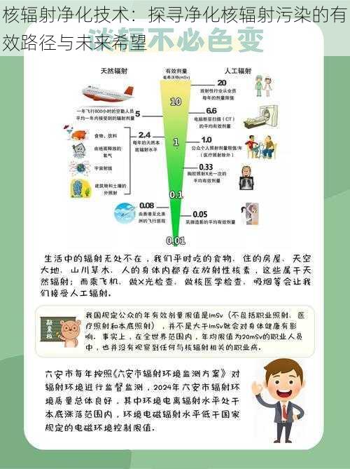 核辐射净化技术：探寻净化核辐射污染的有效路径与未来希望