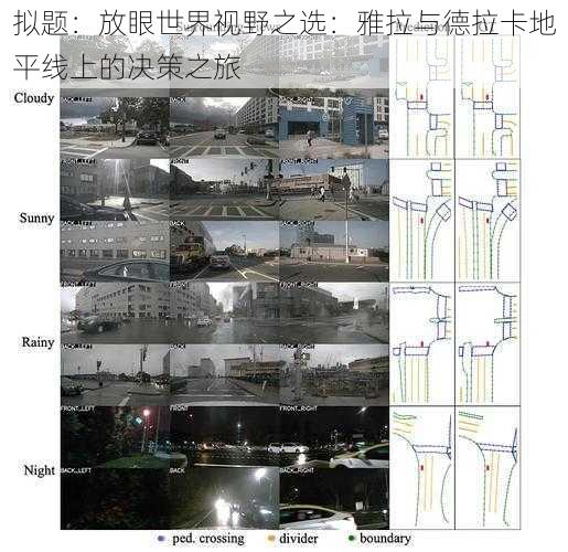 拟题：放眼世界视野之选：雅拉与德拉卡地平线上的决策之旅