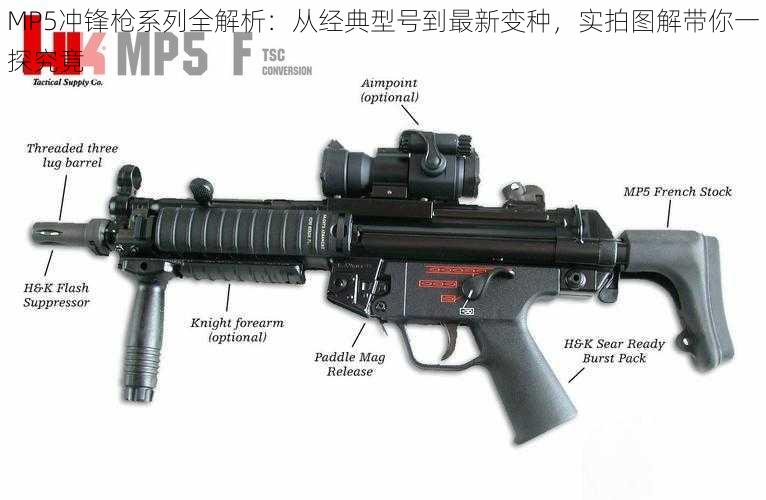 MP5冲锋枪系列全解析：从经典型号到最新变种，实拍图解带你一探究竟