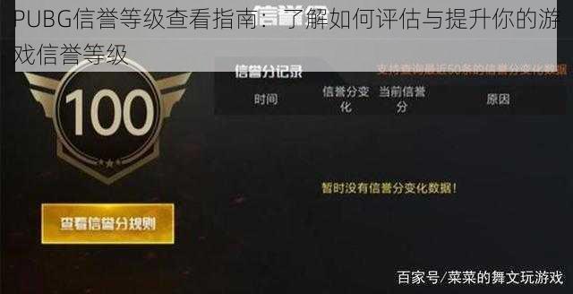 PUBG信誉等级查看指南：了解如何评估与提升你的游戏信誉等级