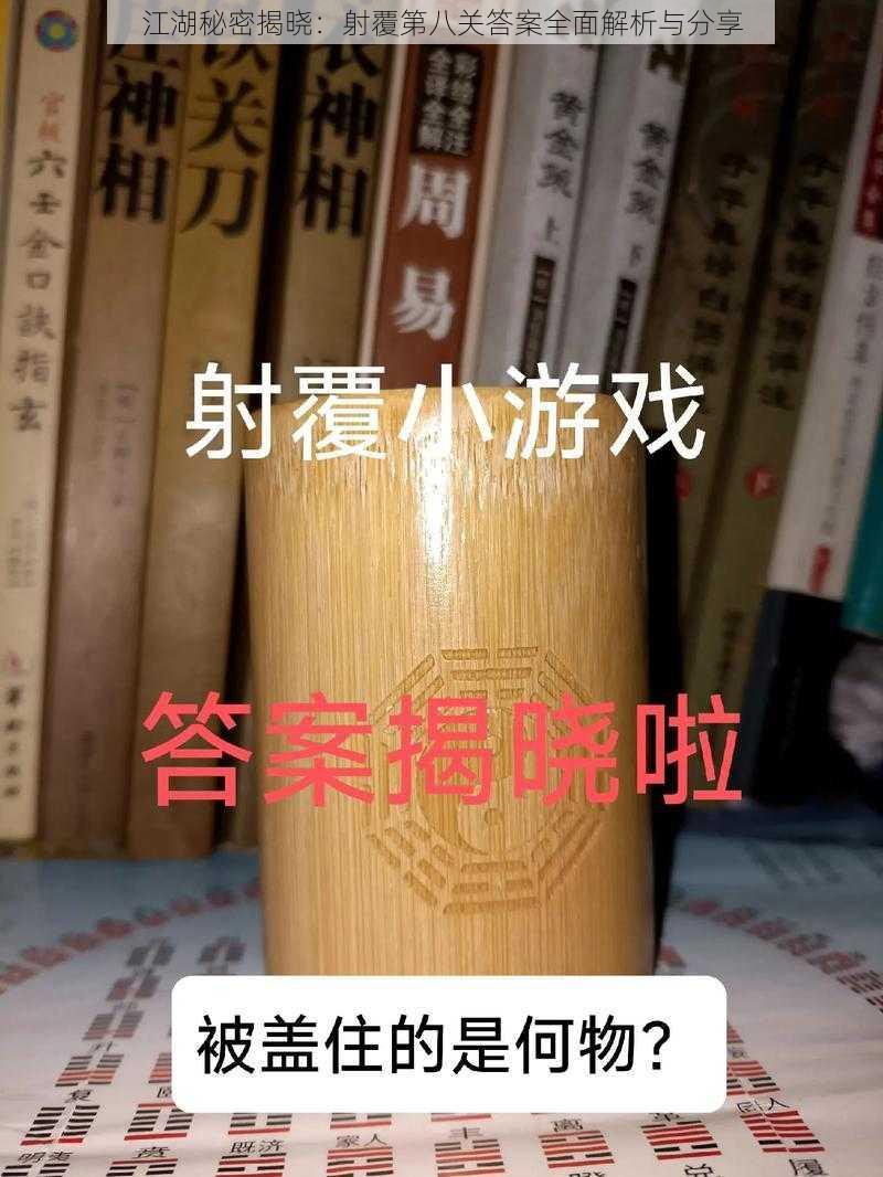 江湖秘密揭晓：射覆第八关答案全面解析与分享