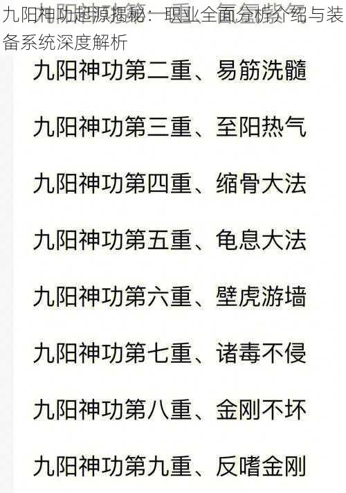 九阳神功起源揭秘：职业全面分析介绍与装备系统深度解析