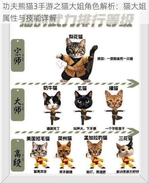 功夫熊猫3手游之猫大姐角色解析：猫大姐属性与技能详解