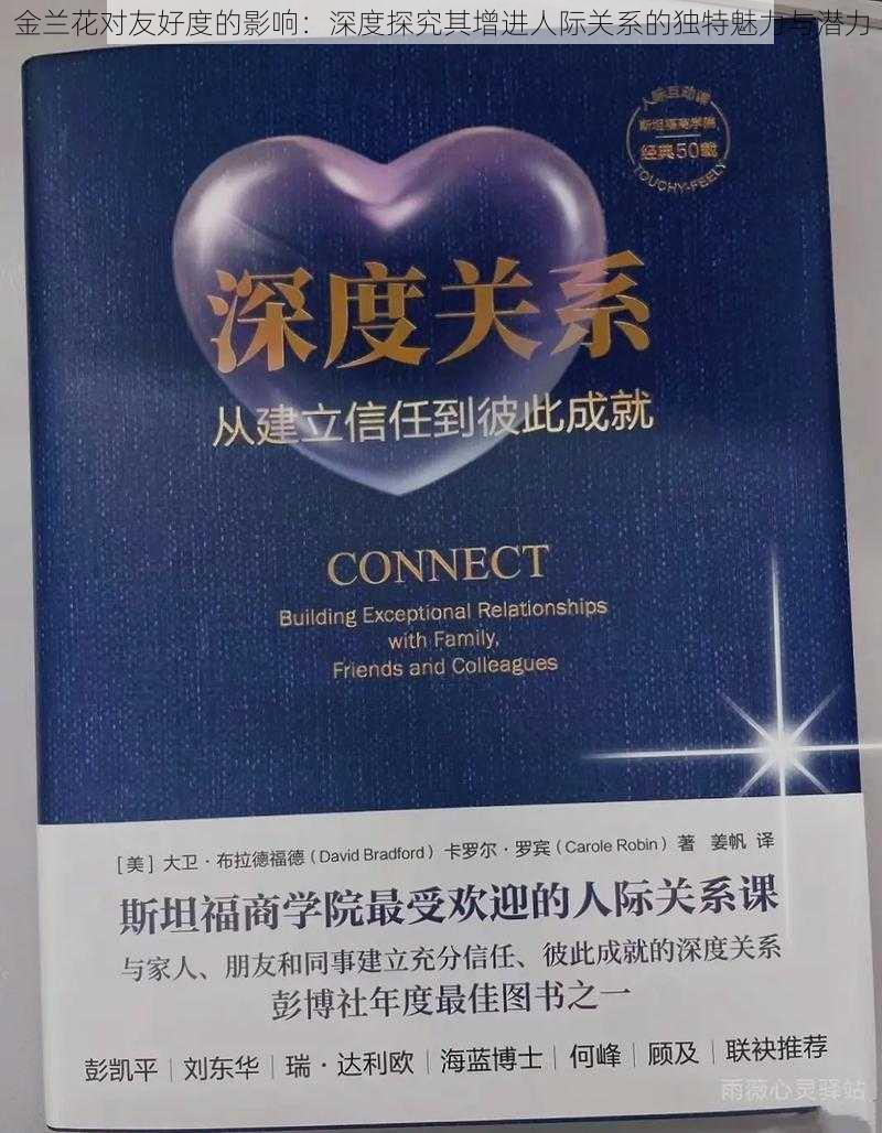 金兰花对友好度的影响：深度探究其增进人际关系的独特魅力与潜力