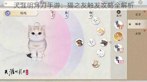 天涯明月刀手游：猫之友触发攻略全解析