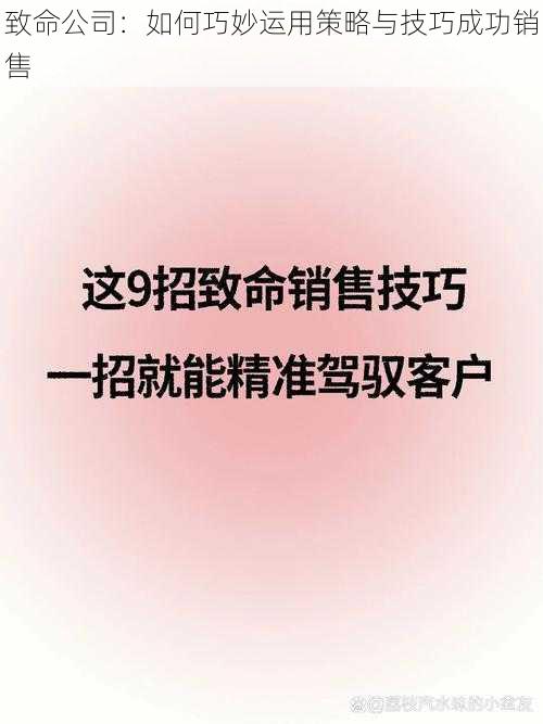 致命公司：如何巧妙运用策略与技巧成功销售